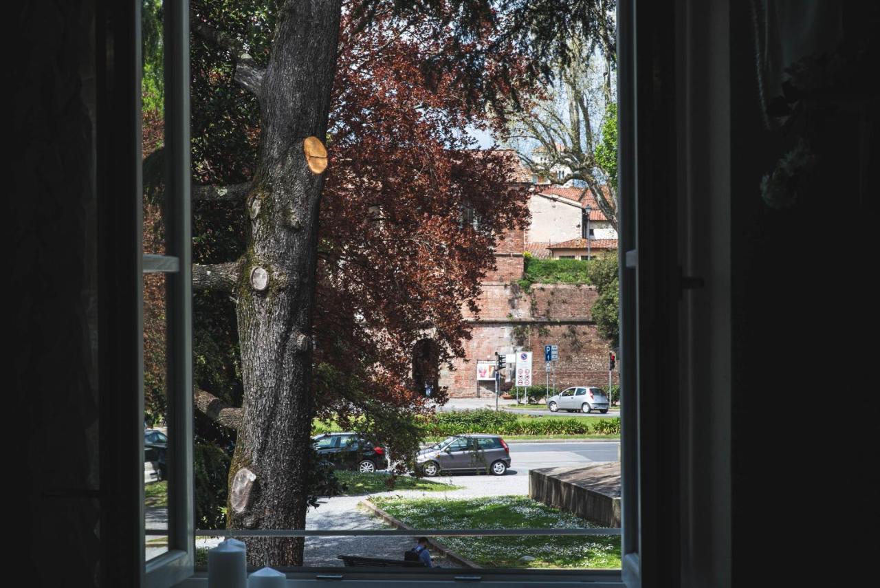 Belvedere Luxury Apartment, View On The Lucca Walls Exterior foto